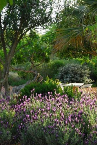 مبيت وإفطار تافيرا Quinta Da Lua المظهر الخارجي الصورة